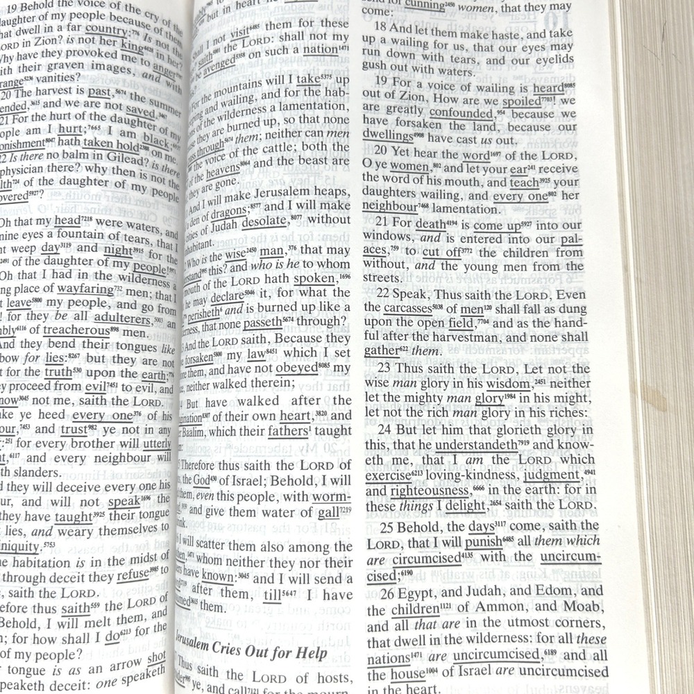 Hebrew Greek Key Study Bible King James Version KJV Red Letter Bonded Leather - Picture 10 of 12